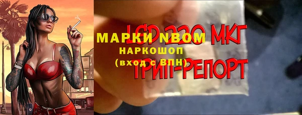 крисы Горняк