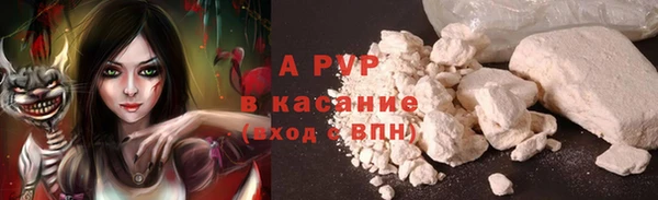 крисы Горняк