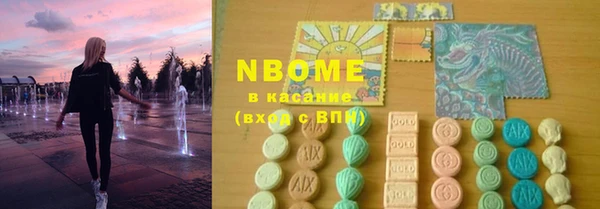 крисы Горняк