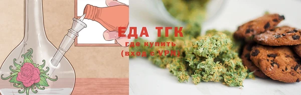 крисы Горняк
