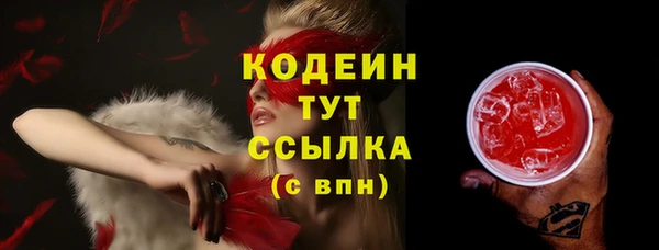 крисы Горняк
