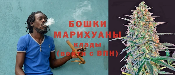 крисы Горняк