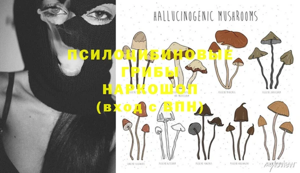 крисы Горняк