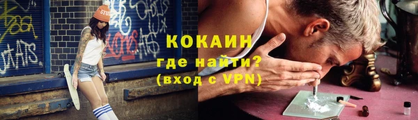 крисы Горняк