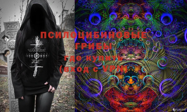 крисы Горняк