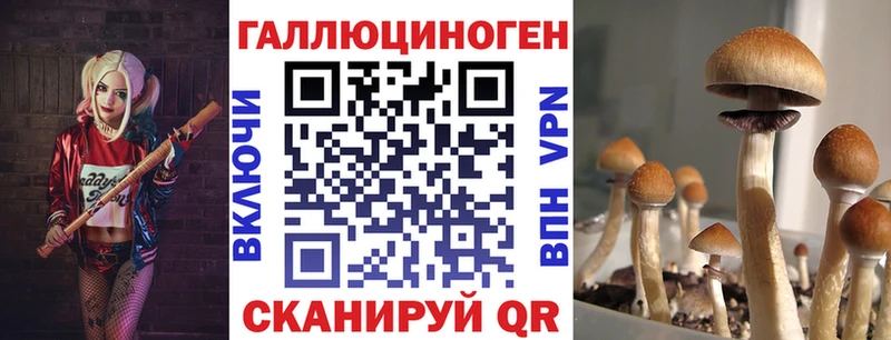 Галлюциногенные грибы прущие грибы  Неман 